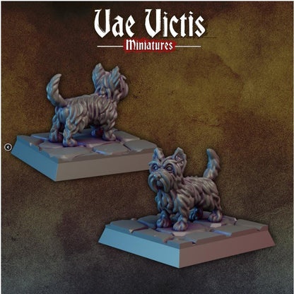 Gravediggers and Ghouls Miniature Warband, Headless Noblewoman, Vae Victis