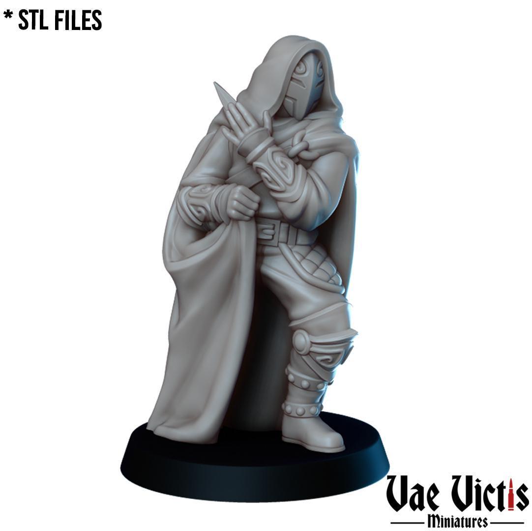 The Thieves Guild, Adventurers and Mercenaries by Vae Victis, perfect for Fantasy Wargames and Tabletop RPGs