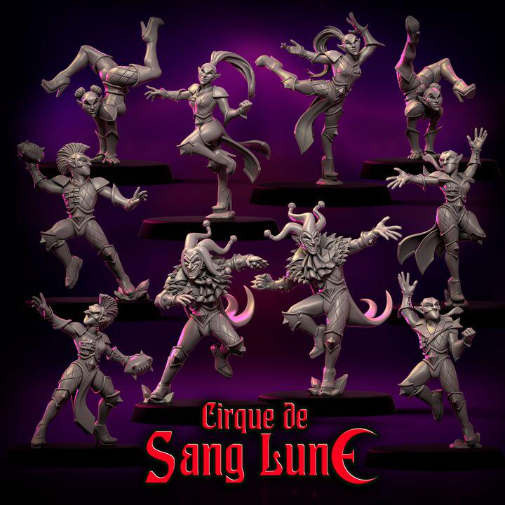 Cirque de Sang Lune by Punga Miniatures - Wargame Scale 3D Printed Miniature - Part 1