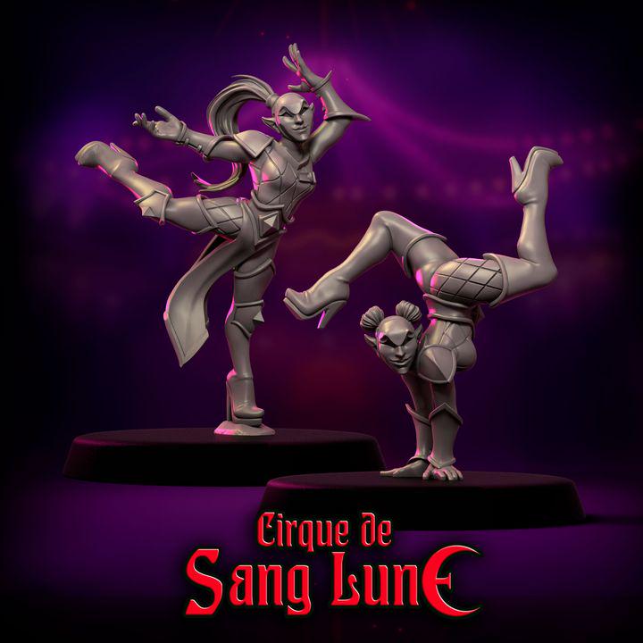 Cirque de Sang Lune by Punga Miniatures - Wargame Scale 3D Printed Miniature - Part 1