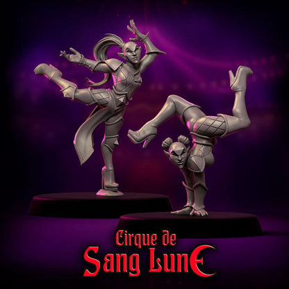 Cirque de Sang Lune by Punga Miniatures - Wargame Scale 3D Printed Miniature - Part 1
