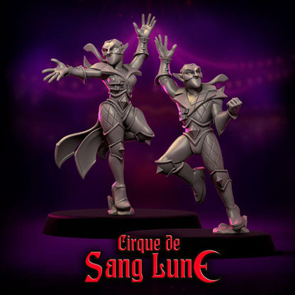 Cirque de Sang Lune by Punga Miniatures - Wargame Scale 3D Printed Miniature - Part 1