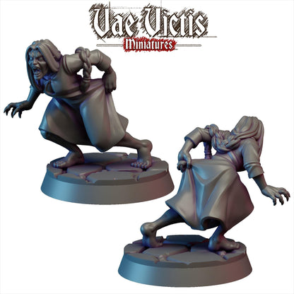 Vae Victis Miniatures, Aristocracy of the Night, Fantasy RPG Wargame