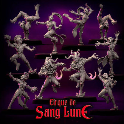 Cirque de Sang Lune by Punga Miniatures - Wargame Scale 3D Printed Miniature - Part 1