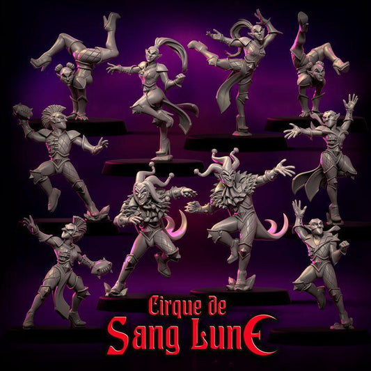 Cirque de Sang Lune by Punga Miniatures - Wargame Scale 3D Printed Miniature - Part 1