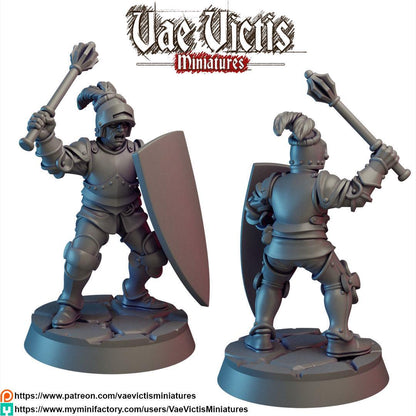 Royal Knights, Adventurers and Mercenaries by Vae Victis, perfect for Fantasy Wargames and Tabletop RPGs