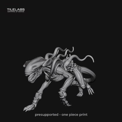 Xeno Hive - Mind Snatchers