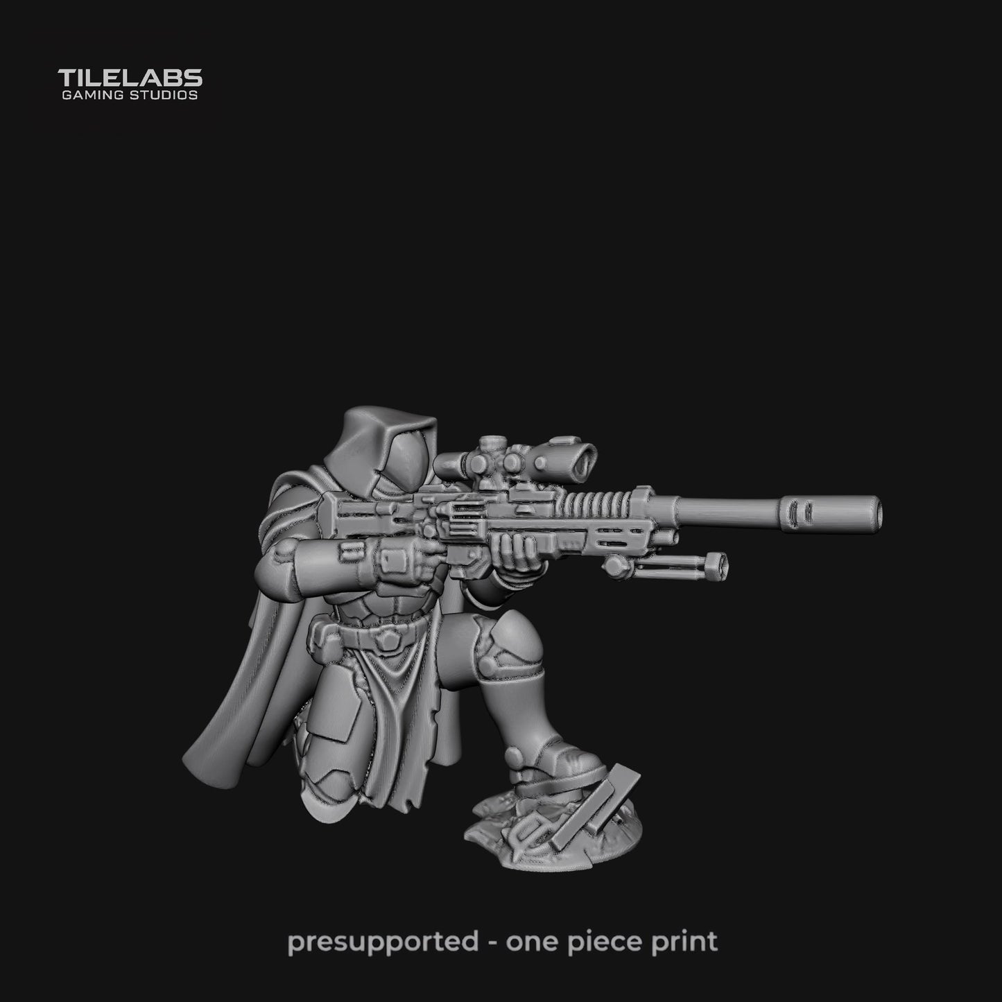 Imperial Elite soldiers - Elite palace guard