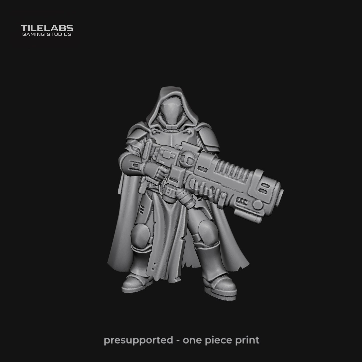 Imperial Elite soldiers - Elite palace guard