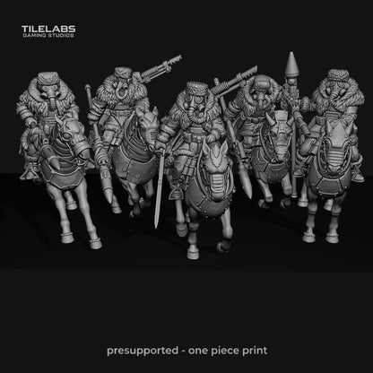 Imperial Ice Warriors - Tough Riders