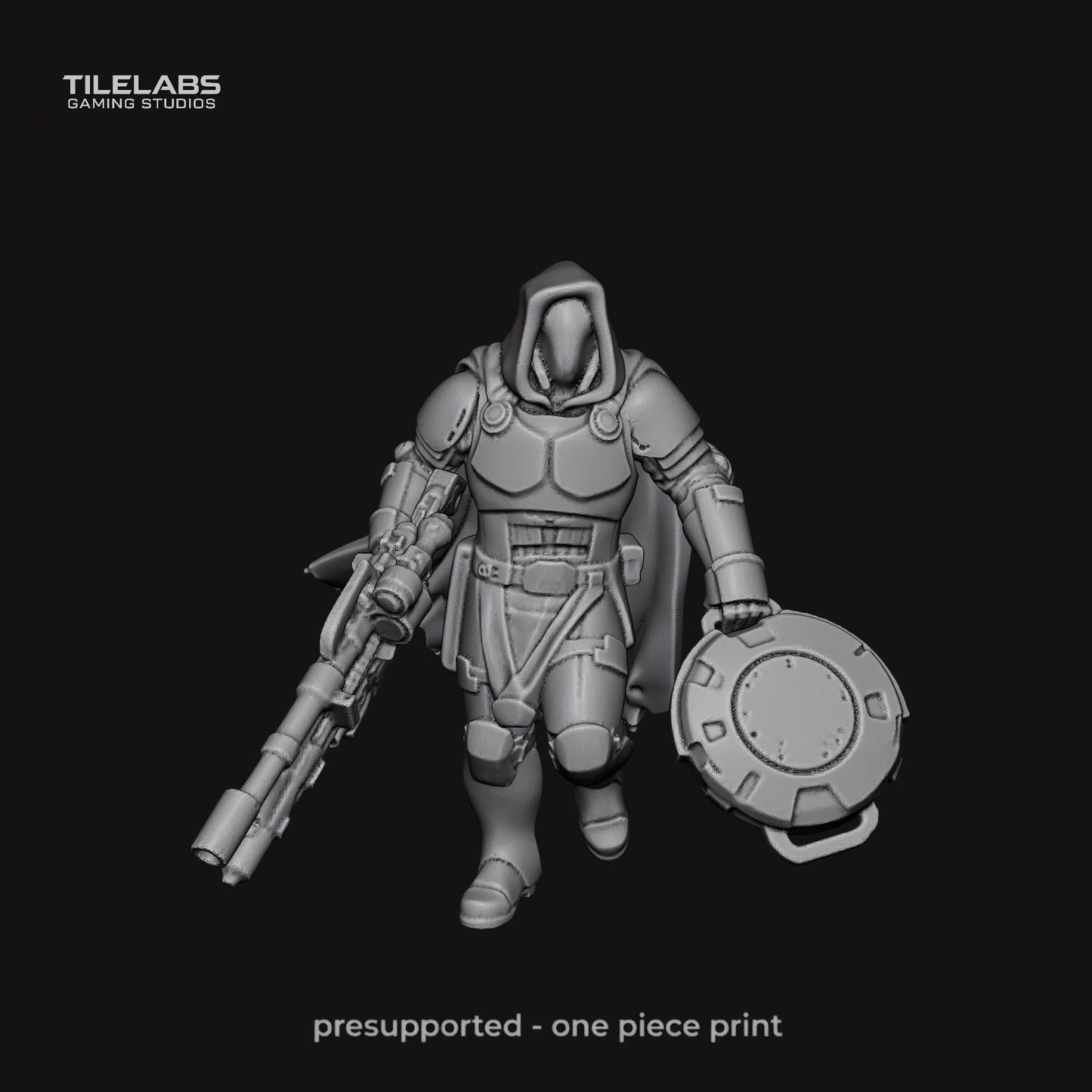 Imperial Elite soldiers - Elite palace guard