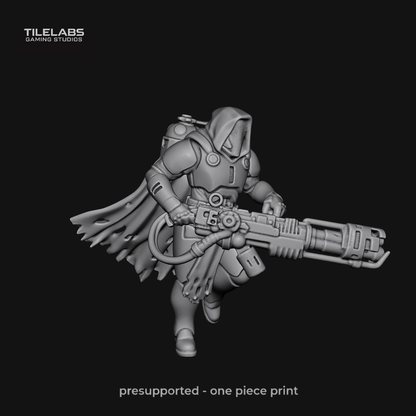 Imperial Elite soldiers - Elite palace guard