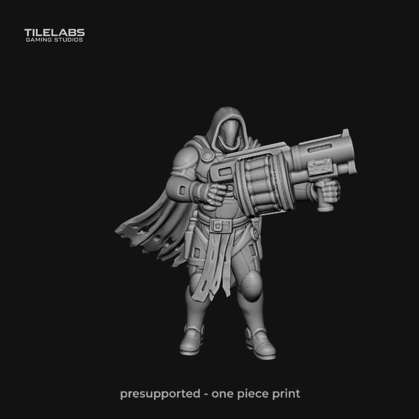 Imperial Elite soldiers - Elite palace guard