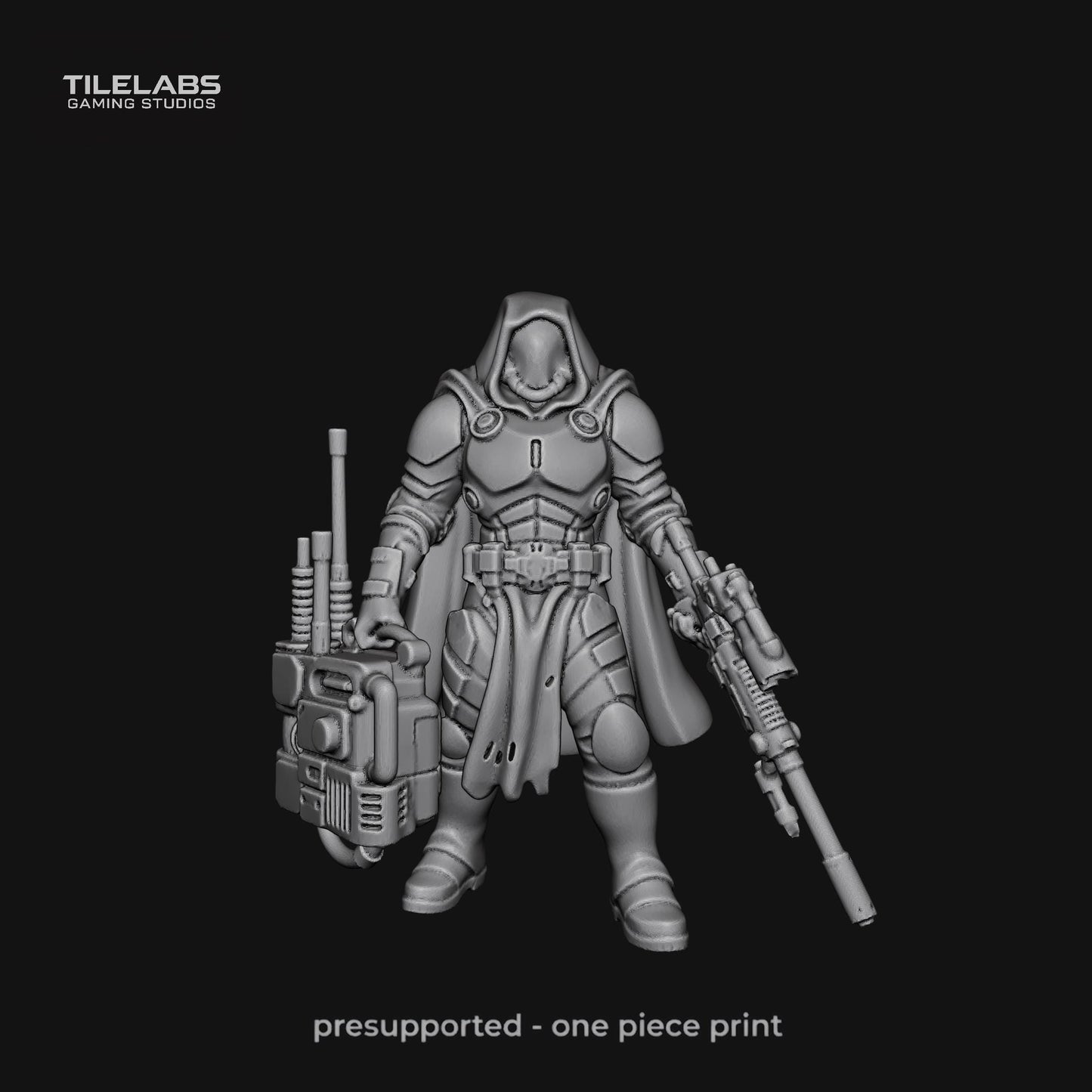 Imperial Elite soldiers - Elite palace guard