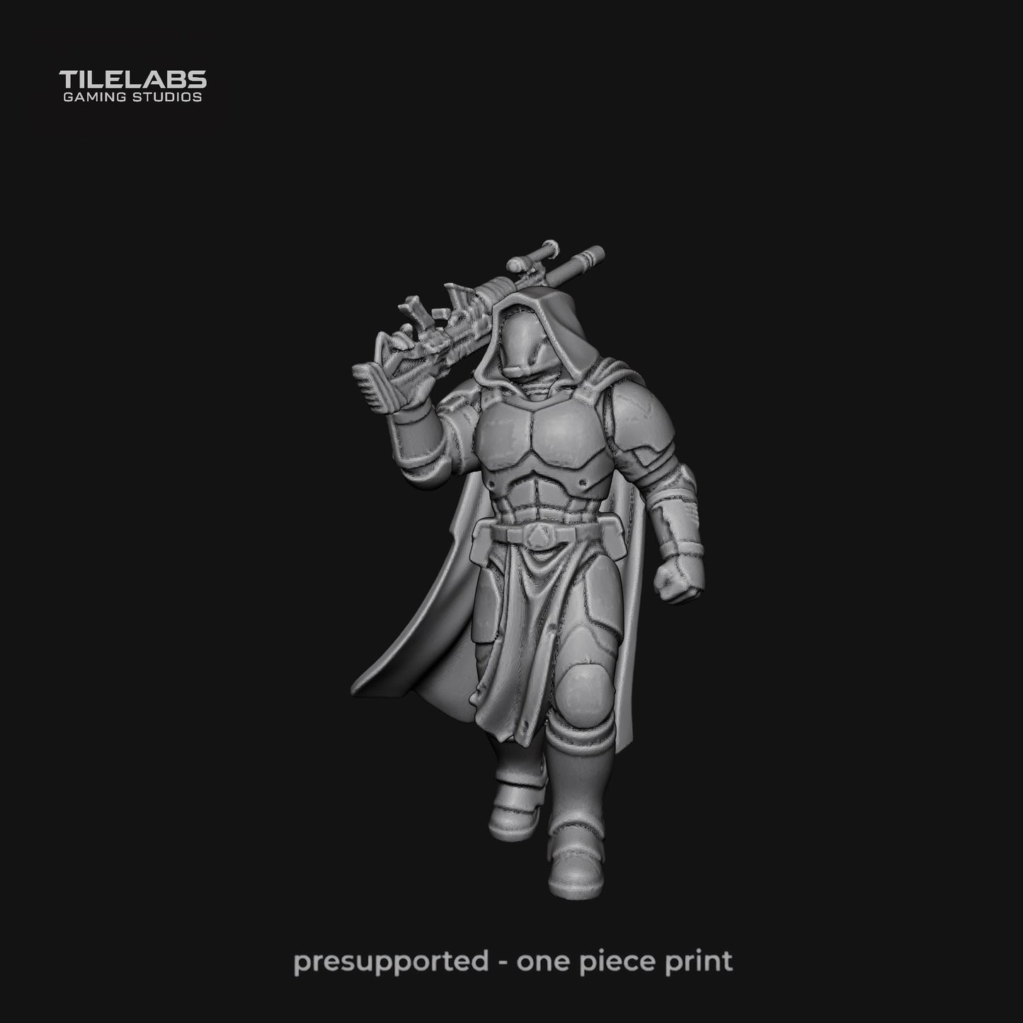 Imperial Elite soldiers - Elite palace guard