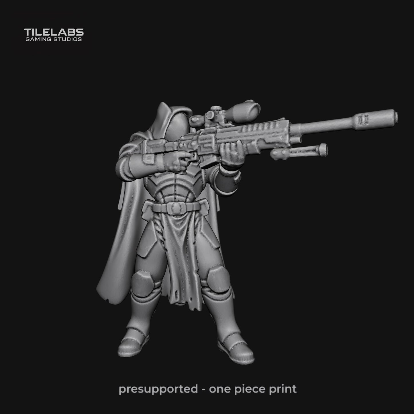 Imperial Elite soldiers - Elite palace guard